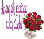 شعر عن الصداقة 420739